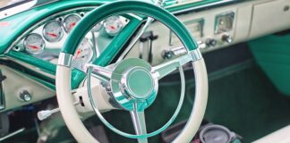 Ile kosztuje panel ogrodzeniowy w mrówce?