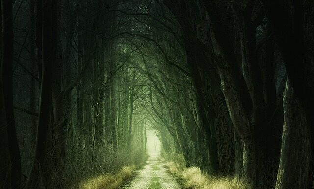 Jak usunąć zielony osad?