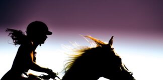 Czy można pędzić bimber na własne potrzeby?