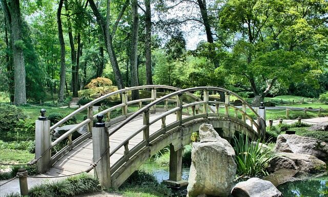 Jak urządzić ogród?