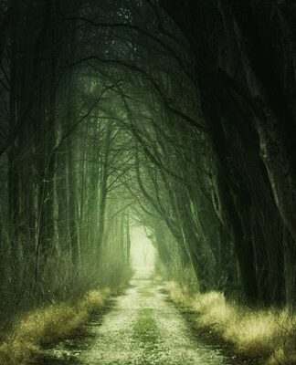 Jak usunąć zielony nalot z betonu?