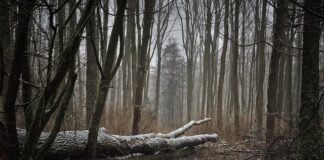 Co zrobić gdy wieje od okna?