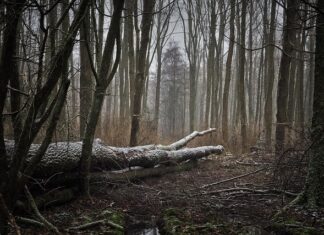 Co zrobić gdy wieje od okna?