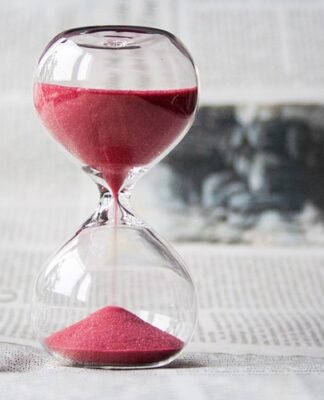 W jakich godzinach żeruje kuna?