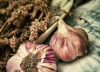 Czy czosnek odstrasza muchy?