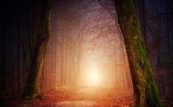 Jak zmienić oświetlenie halogenowe na LED?