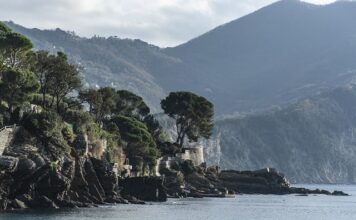 Ile kosztuje metalowy słupek ogrodzeniowy?