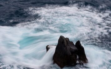 Co z cenami gazu od 2024?