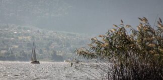 Jak wygląda wysypka przy robakach?