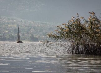 Jak wygląda wysypka przy robakach? Jak wygląda wysypka przy robakach?