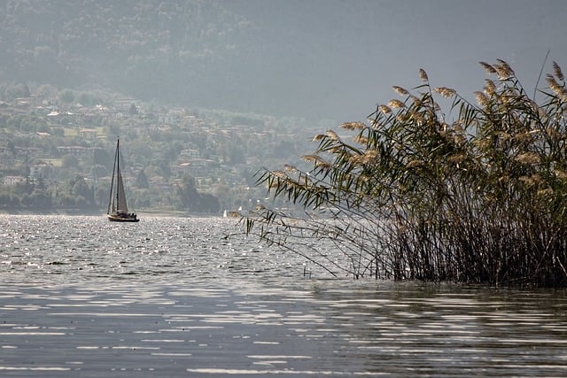 Jak wygląda wysypka przy robakach? Jak wygląda wysypka przy robakach?