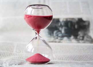 Po jakim czasie można wpuścić ryby do oczka wodnego?