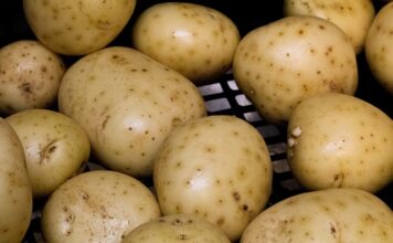 Ile kosztuje sprzęt do pędzenia bimbru?