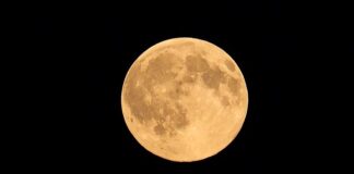 Co trzeba zrobić aby nie śmierdział bimber?