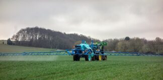 Jak nawozić popiołem?