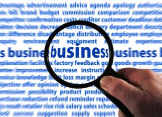 Gdzie zgłosić zakopanie psa w ogrodzie? Gdzie zgłosić zakopanie psa w ogrodzie?