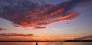 Ile kosztuje 1 metr bieżący siatki ogrodzeniowej?