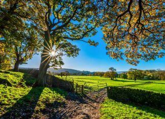 Czy do budowy ogrodzenia potrzebny jest geodeta? Czy do budowy ogrodzenia potrzebny jest geodeta?