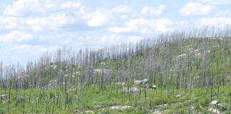 Co życzyć przy przejściu na emeryturę?