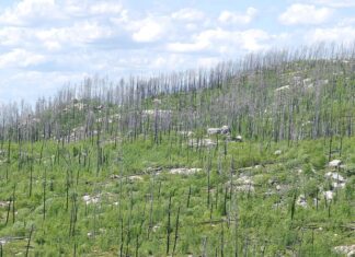 Co życzyć przy przejściu na emeryturę? Co życzyć przy przejściu na emeryturę?