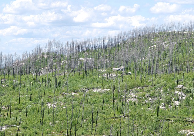 Co życzyć przy przejściu na emeryturę? Co życzyć przy przejściu na emeryturę?