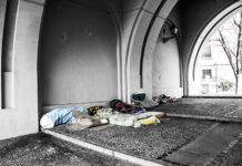 Co gryzie w materacu? Co gryzie w materacu?