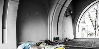 Co gryzie w materacu? Co gryzie w materacu?