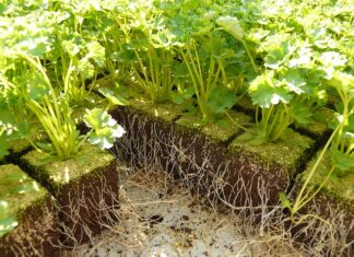 Jaki kolor parapetu do białych okien? Jaki kolor parapetu do białych okien?