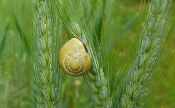 Jak uszczelnić okno między parapetem a oknem?