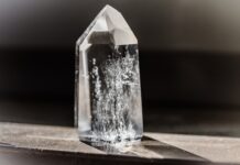 Jaki kamień wybrać do ogrodu?