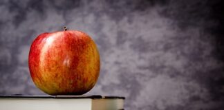 Co oznacza klasa LW odkurzaczu?