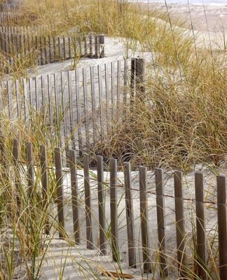 Jak tanim kosztem zrobić ogrodzenie? Jak tanim kosztem zrobić ogrodzenie?