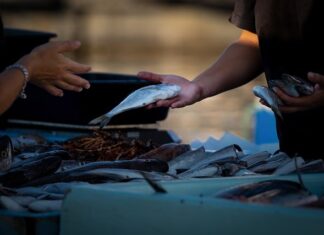 Czy można sprzedawać nalewki własnej produkcji? Czy można sprzedawać nalewki własnej produkcji?