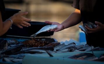 Czy można sprzedawać nalewki własnej produkcji?