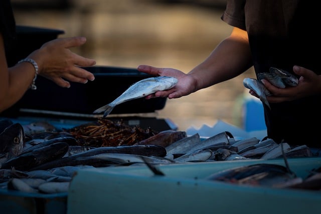 Czy można sprzedawać nalewki własnej produkcji? Czy można sprzedawać nalewki własnej produkcji?