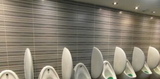 Czy ludzki mocz odstrasza dziki?