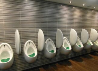 Czy ludzki mocz odstrasza dziki? Czy ludzki mocz odstrasza dziki?