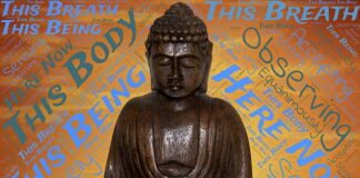 Co robimy z osadem z przydomowych oczyszczalni ścieków?