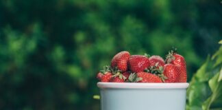Czy truskawka lubi popiół drzewny?