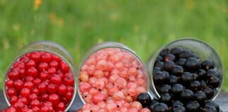 Co to jest stopień ochrony IP44?