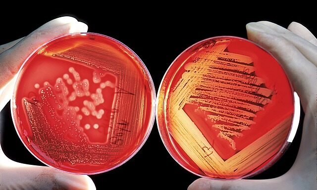 Jak kleić klejem kontaktowym?