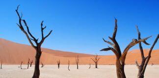 Jak wygląda spalony xenon?