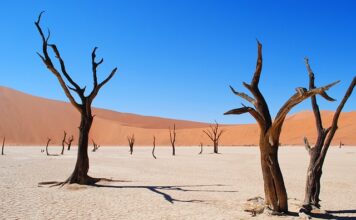 Jak wygląda spalony xenon?