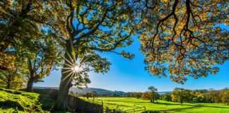 Z czego podmurówka ogrodzenia?