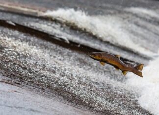 Ile prądu zużywa się dziennie?