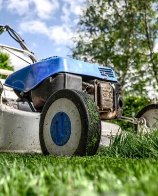 Co kupić ogrodnikowi na urodziny?