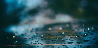 Czy elektroniczne odstraszacze gryzoni działają?