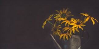 Czy wodą z oczka jest dobra do podlewania?