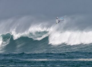 Jaki spray na kuny? Jaki spray na kuny?