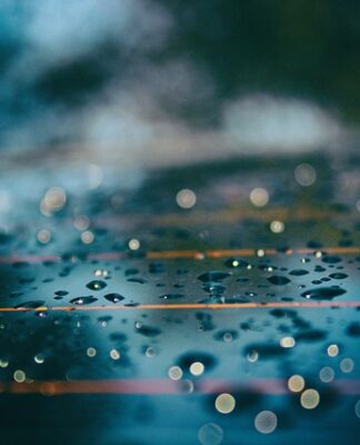 Czy elektryczne odstraszacze na myszy działają?